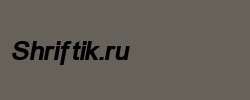 ER Univers 866 Bold Italic 